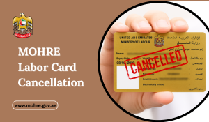 MOHRE Labor Card Cancellation Online