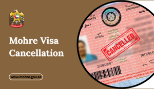 MOHRE Visa Cancellation