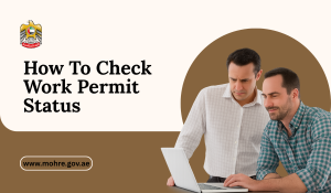 Check Work Permit Status