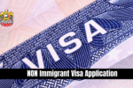 NON Immigrant Visa Application