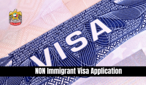 NON Immigrant Visa Application