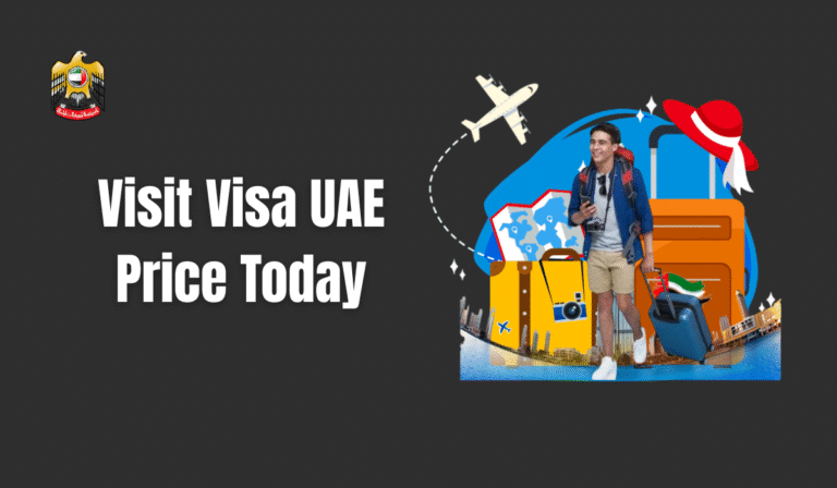 Issuing a visit visa for a relative or friend for one entry