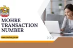MOHRE Transaction Number: A Complete Guide To MOHRE Transaction Enquiry Service And Labour Services