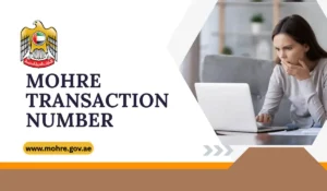 MOHRE Transaction Number: A Complete Guide To MOHRE Transaction Enquiry Service And Labour Services