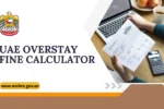 UAE Overstay Fine Calculator