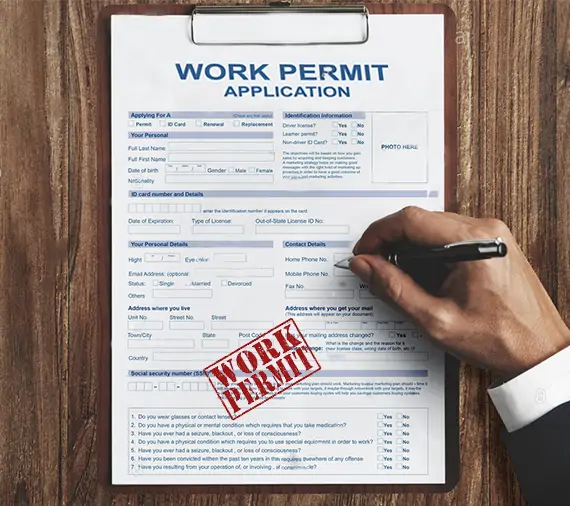 MOHRE Transfer Work Permit Application Process