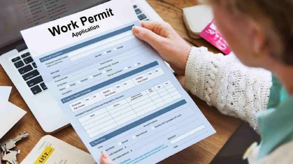Online Process To Apply For a New Domestic Worker Work Permit