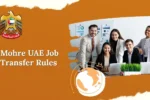 Mohre UAE Job Transfer Rules 2026: Complete Guide for Employees And Employer