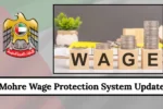 Mohre Wage Protection System Update